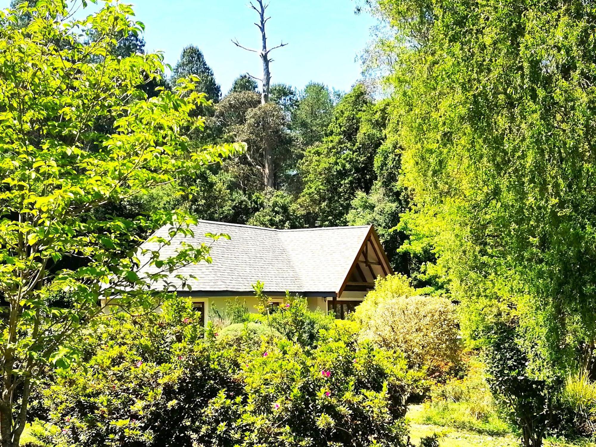 Hogsback Arminel Hotel Exterior photo