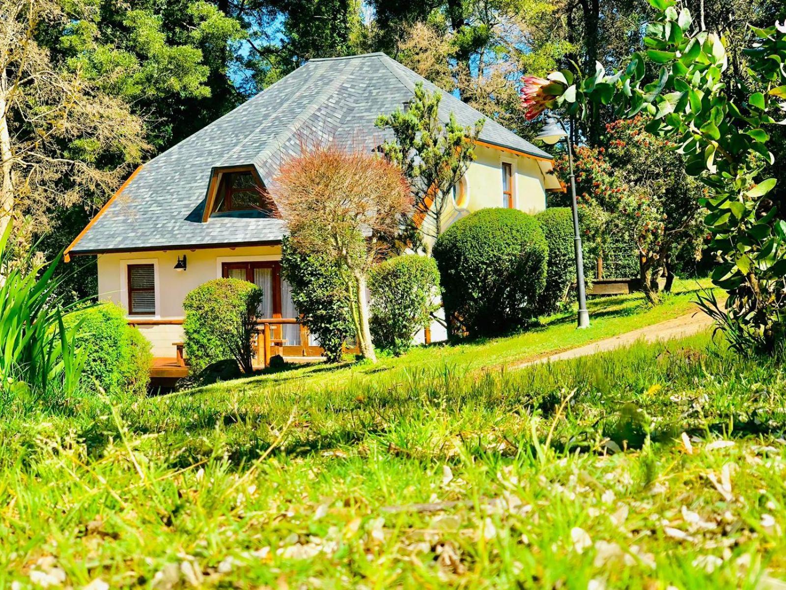 Hogsback Arminel Hotel Exterior photo